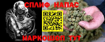 спиды Кинель