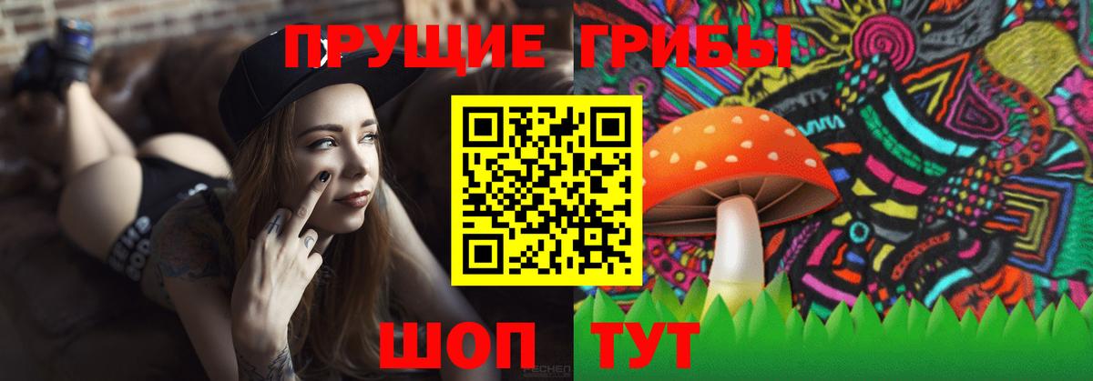 Вологда  где продают   Галлюциногенные грибы ЛСД  Вход с VPN  Галлюциногенные грибы Magic Shrooms 